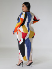 Plus Size Print V Neck Long Sleeve Maxi Dress GDAM-218332