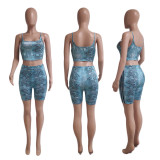 Casual Snakeskin Print Sling 2 Piece Set QYXZ-9915