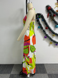 Print Sleeveless Off Shoulder Maxi Dress NY-10733
