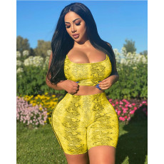 Casual Snakeskin Print Sling 2 Piece Set QYXZ-9915