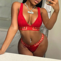 Printed Bikini Two Piece Swimsuit GYZY-8886