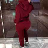 Plus Size Letter Print Long Sleeve Hooded Pants Set ZDF-33212
