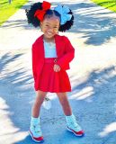 Kids Girl's Long Sleeve Cardigan Coat Pleated Skirt Set GYAY-M8049