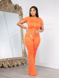 Wave Stripe Set Short Sleeve Pants Two Piece Set DDF-88232