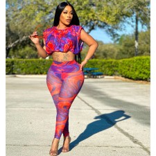 Sexy Print Mesh Tight Two Piece Pants Set ORY-5258