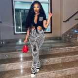 Tie Up T Shirts And Stripe Pants 2 Piece Set QXLB-10052