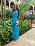 One Shoulder Long Sleeve Wave Pattern Maxi Dress ZSD-0654