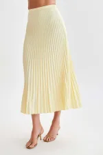 Press Pleated Casual Half Body Skirt  ANDF-2405