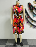 Printed Sleeveless Tie Up Small V-Neck Dress NY-10756