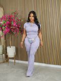 Casual Short Sleeve Solid Sport Two Piece Pants Set AIL-272