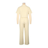 Short Sleeve Lapel Shirt And Pants 2 Piece Set AIL-269