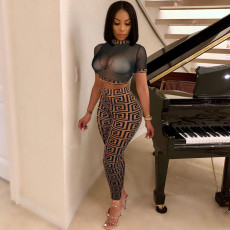 Sexy Mesh See Through Tops Pants Print 2 Piece Set HMS-6155