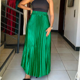 Fashion Big Swing Pleated Half-body Skirt GCZF-8532