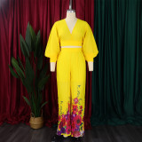 Chiffon V-neck Top Printed Wide Leg Pants Set GCZF-D440-C1