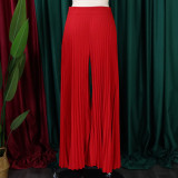 Fashion Press Pleated Wide Leg Pants GCZF-8536