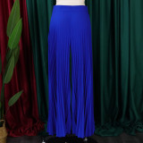 Fashion Press Pleated Wide Leg Pants GCZF-8536