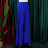 Fashion Press Pleated Wide Leg Pants GCZF-8536