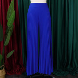 Fashion Press Pleated Wide Leg Pants GCZF-8536