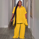 Plus Size Solid Color Loose Two Piece Pants Set NNWF-7994