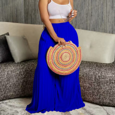 Fashion Press Pleated Wide Leg Pants GCZF-8536