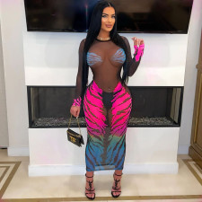 Tiger Print Mech Long Sleeve Bodycon Dress WAF-77641
