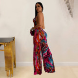 Sexy Print Backless V Neck Jumpsuit  BY-6930