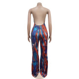 Sexy Print Backless V Neck Jumpsuit  BY-6930