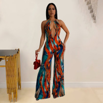 Sexy Print Backless V Neck Jumpsuit  BY-6930