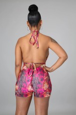 Sexy Print Halter Tie Up Backless Romper LSL-6439