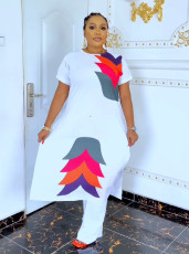 Print Long Sleeve Long Tops And Pants 2 Piece Set NY-10770