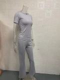 Solid Color Tops And Flare Pants 2 Piece Set GYSM-W0719