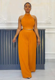 Pleated Sleeveless Tops Wide Leg Pants 2 Piece Set NY-10773