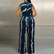Plus Size Sleeveless Print Loose Jumpsuit GDAM-040
