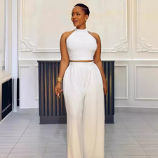 Pleated Sleeveless Tops Wide Leg Pants 2 Piece Set NY-10773