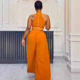 Pleated Sleeveless Tops Wide Leg Pants 2 Piece Set NY-10773