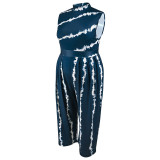 Plus Size Sleeveless Print Loose Jumpsuit GDAM-040
