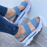 Wide Side One Strap Thick Bottom Slope Heel Sandals GYUX-312321