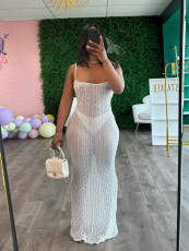 Sexy Solid Color Sling Slim Maxi Dress CH-24027