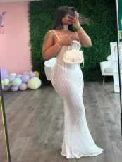 Sexy Solid Color Sling Slim Maxi Dress CH-24027