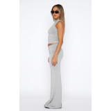 Solid Color Sleeveless Half Body Skirt Two Piece Set ASL-6712