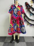 Print V Neck Zipper Big Swing Midi Dress NY-10768