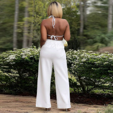 Sexy Backless Lace Up Long Top Two Piece Pants Set YF-10722