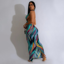 Sexy Backless Halter Print Maxi Dress CYA-901187