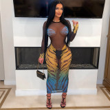 Print See Through Long Sleeve Mesh Maxi Dress CYA-901179