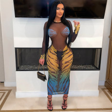 Print See Through Long Sleeve Mesh Maxi Dress CYA-901179