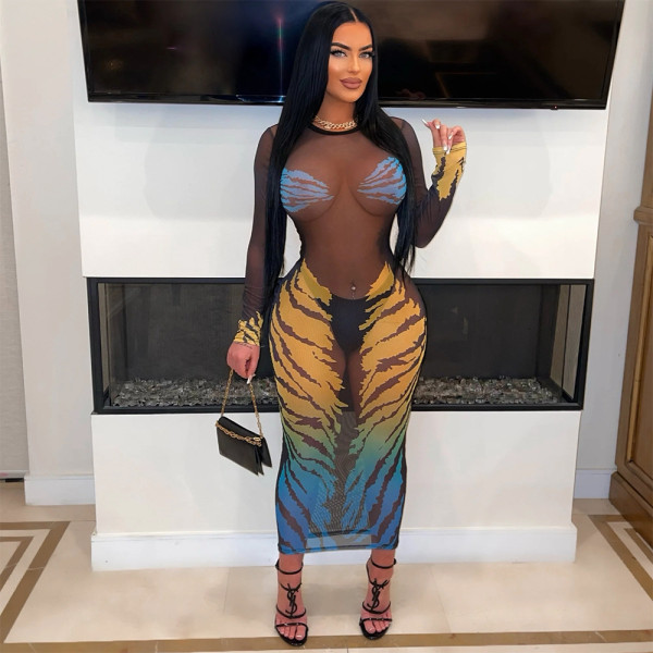 Print See Through Long Sleeve Mesh Maxi Dress CYA-901179