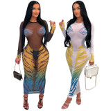 Print See Through Long Sleeve Mesh Maxi Dress CYA-901179