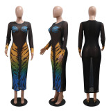 Print See Through Long Sleeve Mesh Maxi Dress CYA-901179