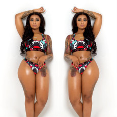 Sexy Swimsuit 2pcs Bikini Set LSL-6229