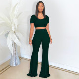 Solid Color Short Sleeve Flare Pant 2 Piece Set DDF-8073